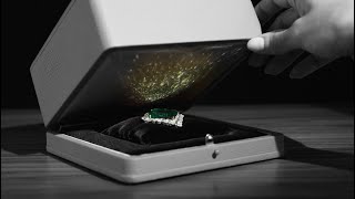 quotOne of the rarest treasures on earthquot The Aga Khan Emerald  Christies [upl. by Guido436]