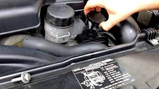 Power Steering Leak Check this EASY FIX First [upl. by Linsk882]