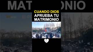 Dios Bendice el Matrimonio Palomas Blancas Rodean a la Pareja en su Propuesta [upl. by Griffith]