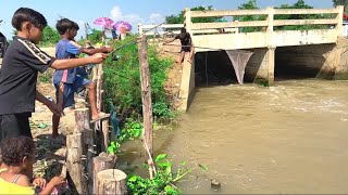 Fishing Rods Village Boys Fishing using hook on Stream Water  Nimitt Fishing [upl. by Hayidah]