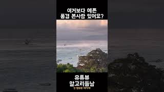 아니 진짜 동화가 현실이 될 수도 있다고 생각이 들더라니까요 발리 여행 동화 풍경 [upl. by Hamaso]