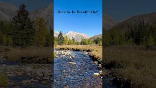 Crystal Clear Stream Near Pocaterra Ridge Canadian Rockies  K County [upl. by Irish52]