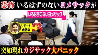 【ドッキリ】リモートで話していたはずのヨメサックが目の前に現れたらどんなリアクションするのかドッキリ [upl. by Aehc642]