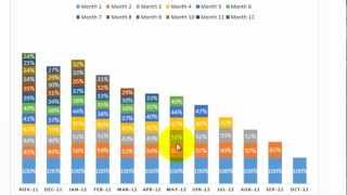 Excel Cohort Analysis [upl. by Rodge]