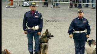 Festa della Polizia 2010 Guarda la dimostrazione delle Unità Cinofila [upl. by Anivlac]