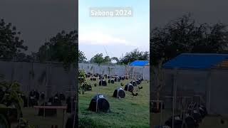 Sabong 2024 [upl. by Eiramana]