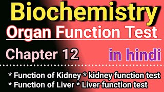 Organ Function test in hindi  Biochemistry chapter 12 in hindi [upl. by Akimit672]