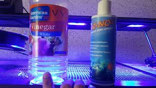 Controlling Nitrates NO3 Successfully in Reef Tank [upl. by Forcier]