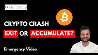 Surviving the Crypto Crash Exit or Accumulate [upl. by Bunce508]