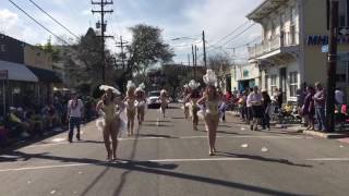 The NOLA Showgirls perform in the 2017 Krewe of Carrollton parade [upl. by Varney145]