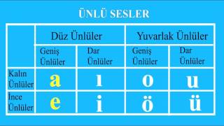 sesli harfler Türkçe [upl. by Cousins733]