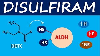 Disulfiram  Mechanism side effects and uses [upl. by Arteid]