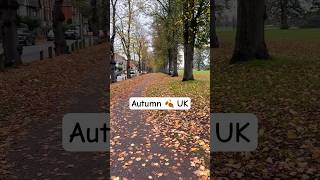 Autumn in the UK 2024 A Symphony of Color [upl. by Salis394]