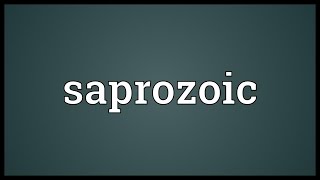 Saprozoic Meaning [upl. by Nairb476]