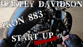 Start UpWalk Around Of A Harley Davidson Sportster Iron 883 [upl. by Ragucci]