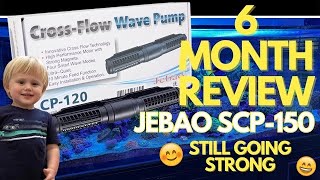 Jebao SCP150 Sine Cross Flow Gyre 6 Month Review [upl. by Lerak]