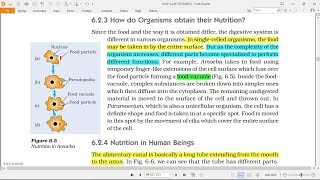 Life Processes  Class 10 Science Ch 6 Part 4 [upl. by Brittne829]