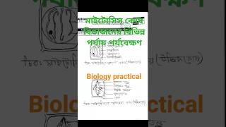 মাইটোসিস কোষ বিভাজনের বিভিন্ন পর্যায় পর্যবেক্ষণ biology practical hsc practical [upl. by Seen]