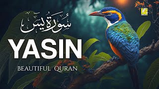 Surah Yasin Yaseen سورة يس  Beautiful voice soul touching  Zikrullah TV [upl. by Dowell]