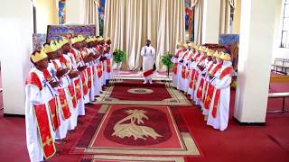 Ethiopian Orthodox Tigrigna Mezmur ምብራቅ ኢኺ [upl. by Vescuso39]