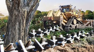 Clearing Wooded Land with Anchor Chain and Bulldozer [upl. by Bois]