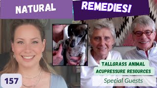 Spring Pet Allergy Solutions Acupressure amp Tui Na🐾FREE gift ☯️ Ep 157 [upl. by Pleasant723]