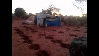 Tsholotsho Cyclone Dineo 2017 victims stand forgotten [upl. by Aynas454]