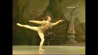 Anthony Dowell Swan Lake 1st act Solo [upl. by Newnorb]