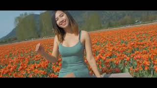 Chilliwack Tulip Festival 2022  Short Film [upl. by Iret]