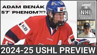 IS ADAM BENÁK THE NEXT 5FOOT7 1ST ROUNDER  USHL 202425 Season Preview [upl. by Honora483]