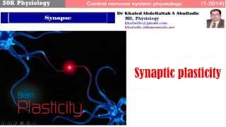 Synaptic plasticity 12014 by Dr Khaled A Abulfadle [upl. by Yup]