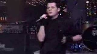 Good Charlotte  Young amp Hopeless live [upl. by Rock176]