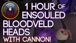 1 Hour of Ensouled Bloodveld Heads with cannon [upl. by Foy624]