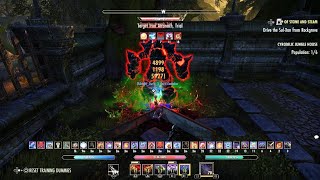 ESO Scribing Skills in Veteran Vateshran Hollows Magicka Necromancer 312k and build Gold Road PS5 EU [upl. by Mayer]