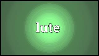 Lute Meaning [upl. by Nylrehc670]