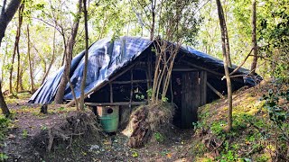 2 Year Alone Building a Survival Shelter in the Forest [upl. by Sidky]