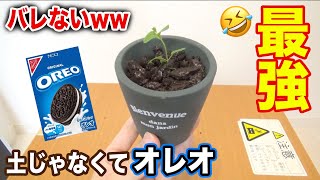 【学生必見】授業中バレずにお菓子を食べる方法！！www [upl. by Audrit]