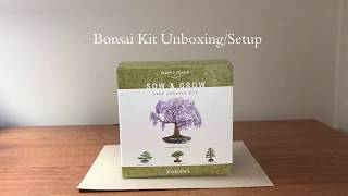 Natures Blossom Bonsai Seed Starter Kit DIY How to Start Your Own Tree from Seed [upl. by Nitsuga195]