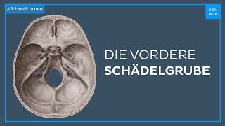 Vordere Schädelgrube  Anatomie einfach erklärt  Kenhub [upl. by Aerol]