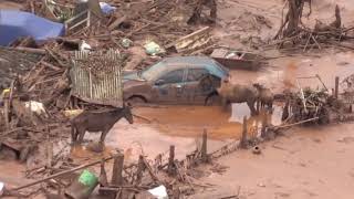 Brumadinho Documentario DE UM CRIME [upl. by Agnella623]