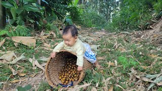 My mother and I went to pick fruit in the forest to sell [upl. by Kinchen]