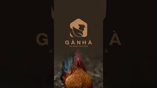 Thiết Kế Logo 🏡 GÀ NHÀ 🐓 DBZDesignVietNam thietkelogo logo design [upl. by Ken]