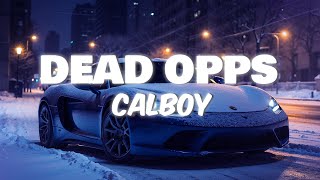 Calboy  Dead Opps Lyrics [upl. by Yc]