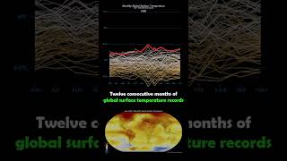 Twelve consecutive months of global surface temperature records [upl. by Elamef793]