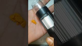 Magnifying the Power of Turmeric A Closer Lookquotshorts 🔬 [upl. by Anelem]