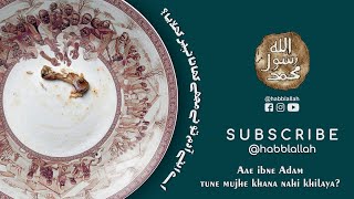 Aae ibne Adam tune mujhe khana nahi khilaya  habblallah zakat chairty [upl. by Butch753]