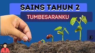 Sains Tahun 2Tumbesaranku [upl. by Oramlub150]