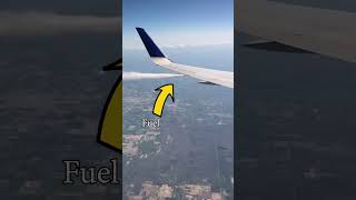 Part 2  நம்ப முடியாத 😨🤯 விமானம் ✈️ [upl. by Kendricks407]