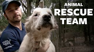 HSUS Animal Rescue Team [upl. by Defant]