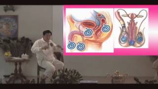 Testicle amp Ovarian Breathing [upl. by Ratha]